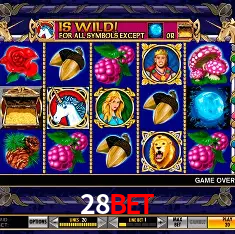 28bet Rio de Janeiro - Professional Dealers